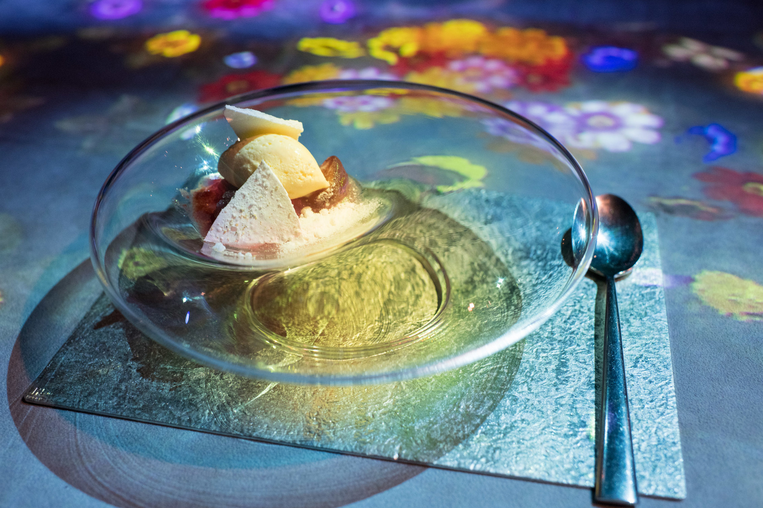 MoonFlower Sagaya 15.jpg